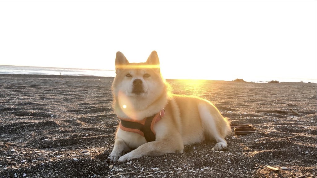 ヒロヨガ