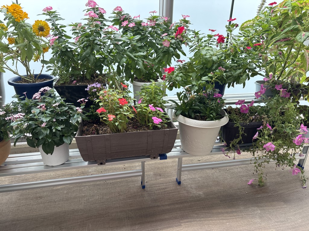 フラワースタンド 2段 KXT09－0152(2段): ガーデニング