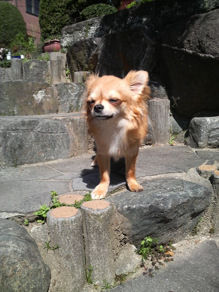 ベン