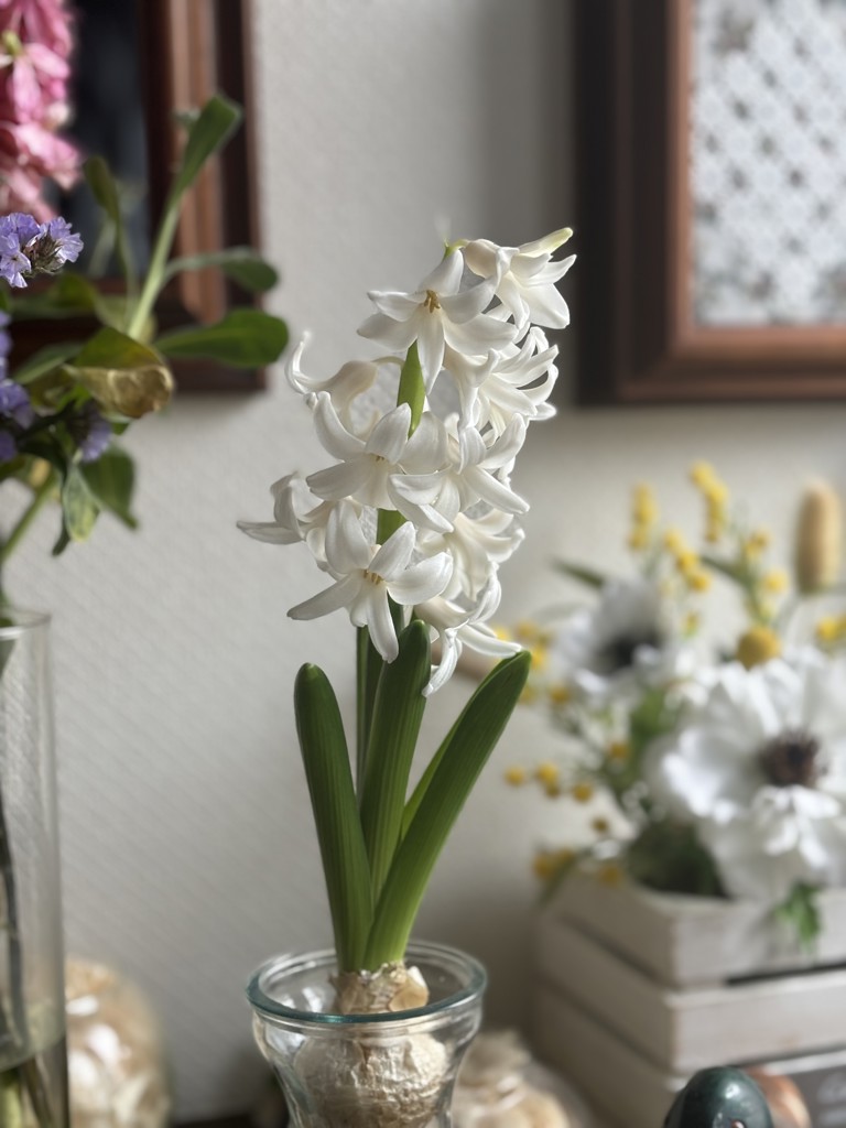 アン
