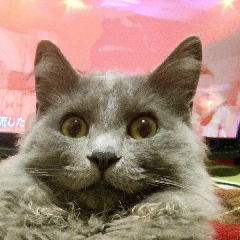 ユーザーアイコン