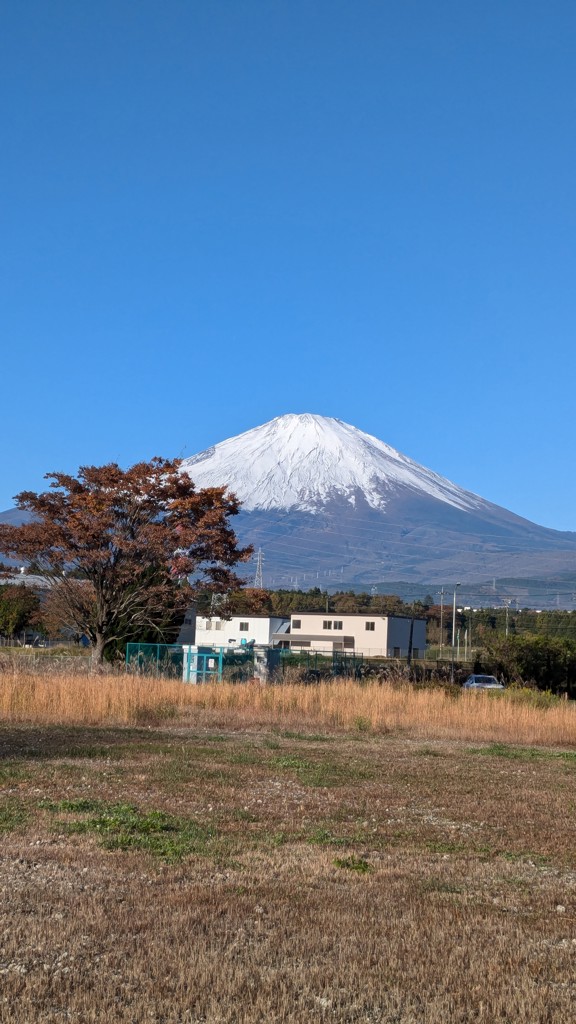たか