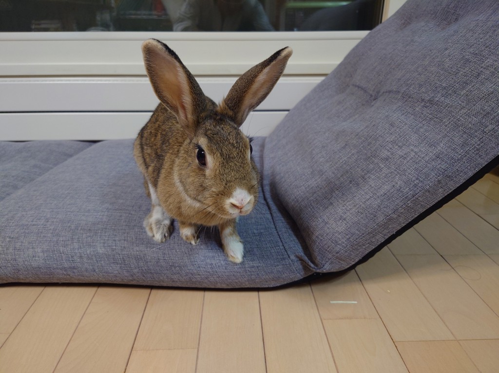 ユーザーアイコン