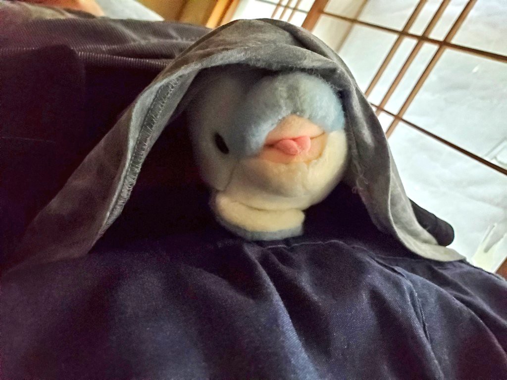 ナミイルカ