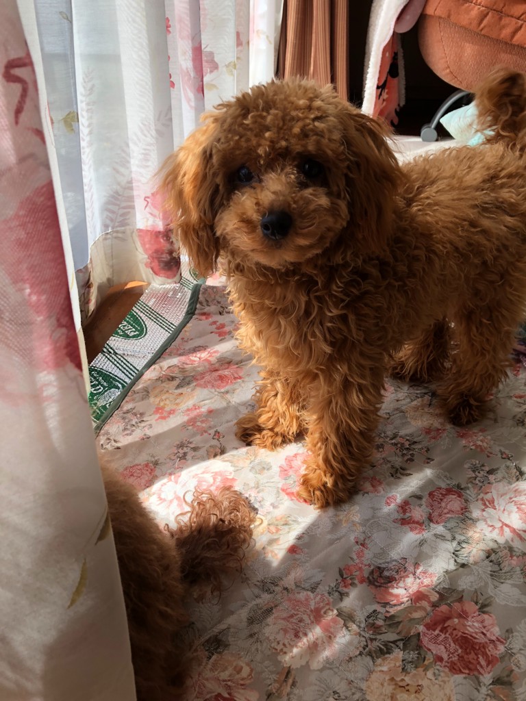 ひろ