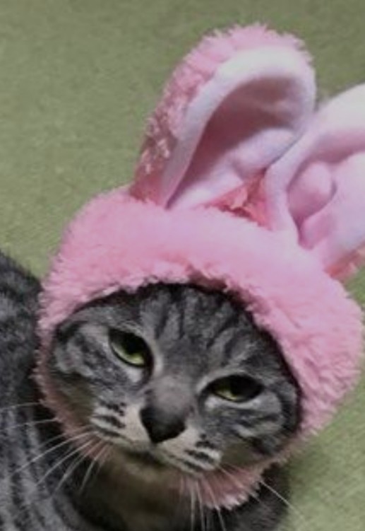 ベル