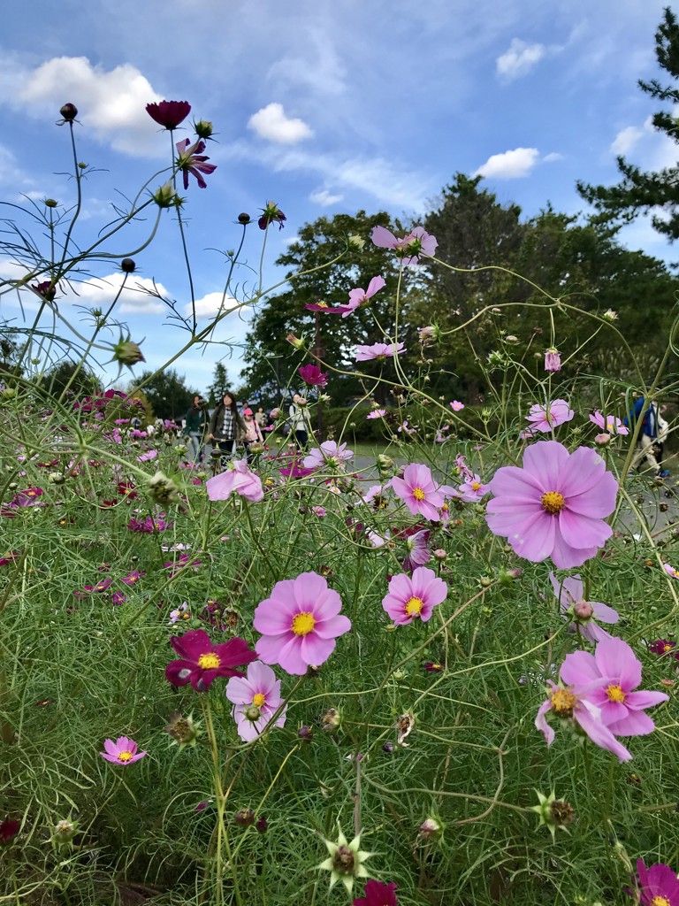 ユーザーアイコン