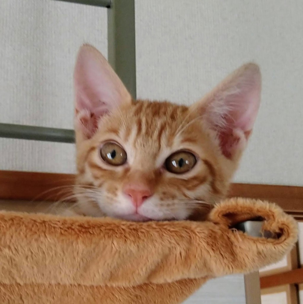 みいちゃん
