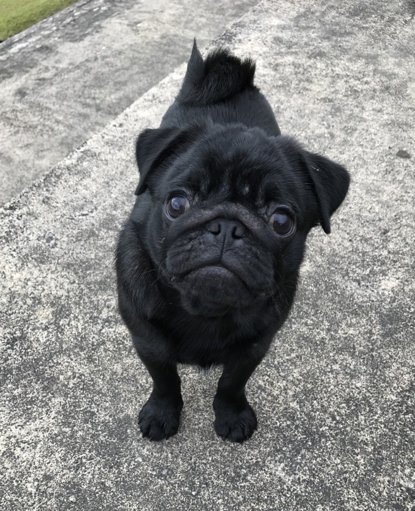 no name