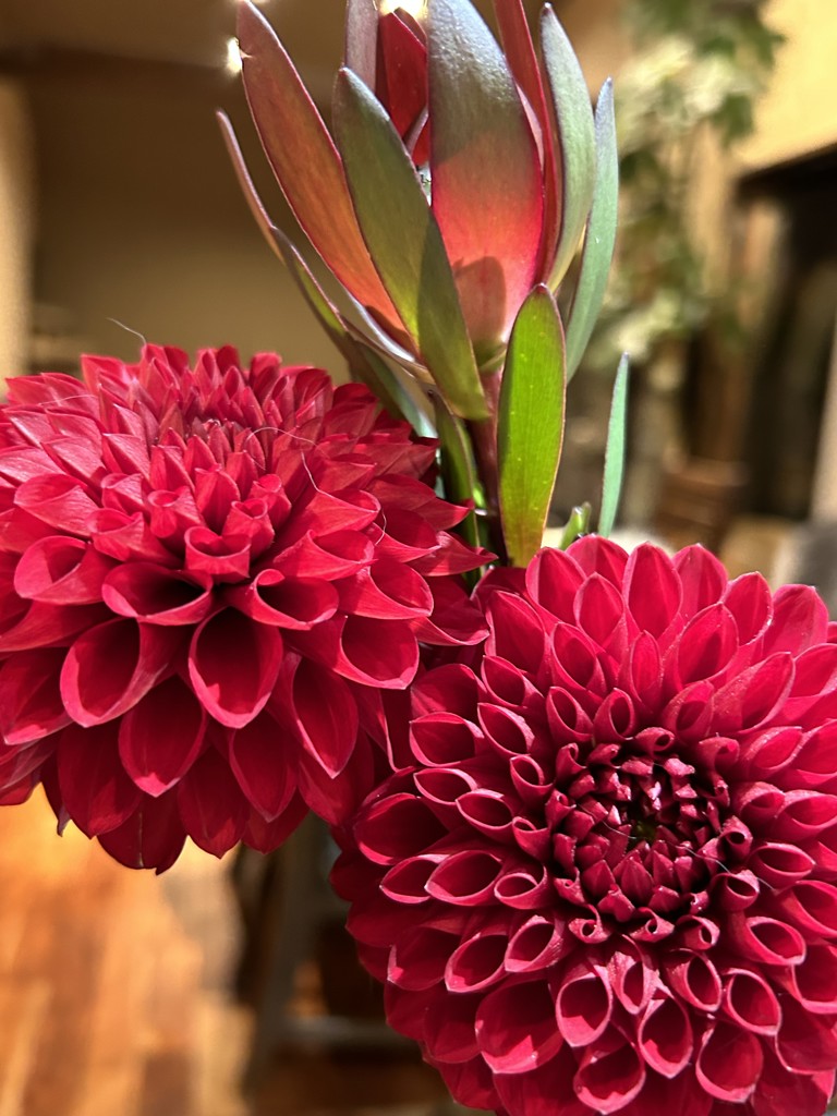 ユーザーアイコン