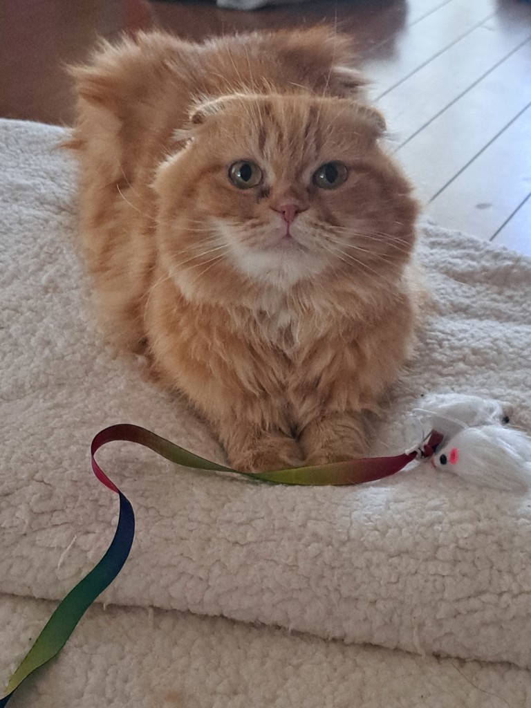 ナミ