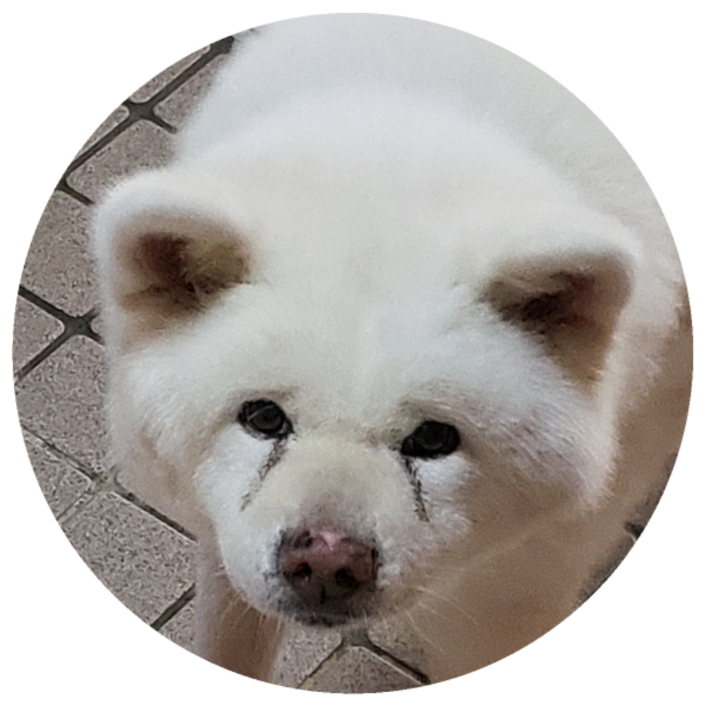 ジュン