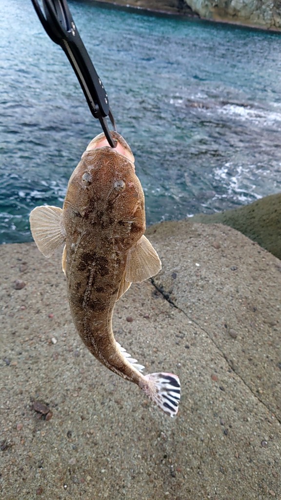 タカシ