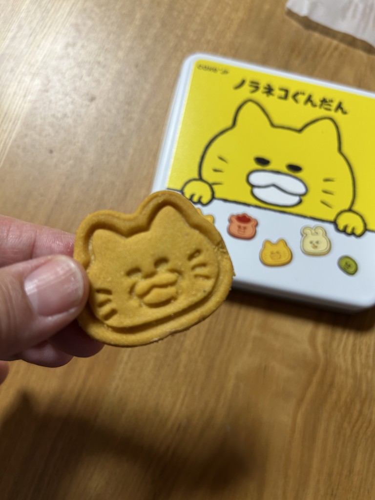 SUKALA】プルオーバー付きトリプルセットアップ(XS・S・M・L・LLサイズ