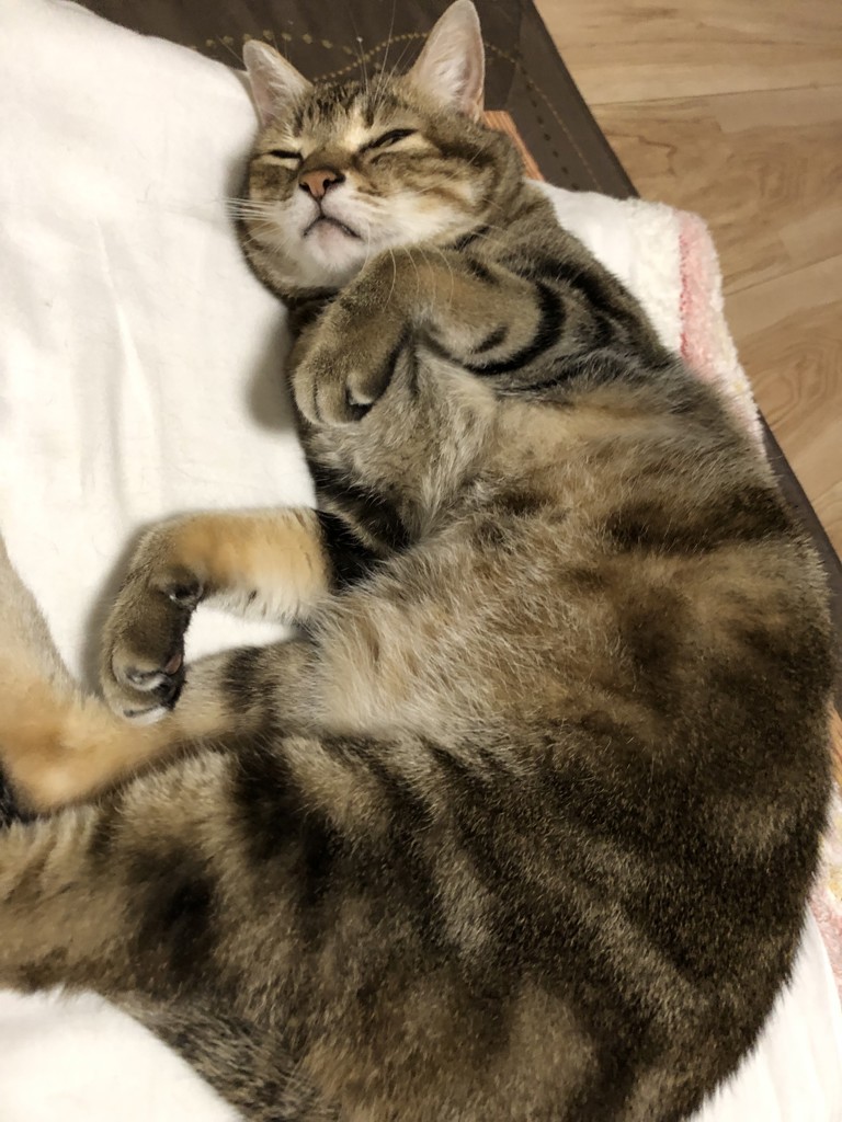 さとちん