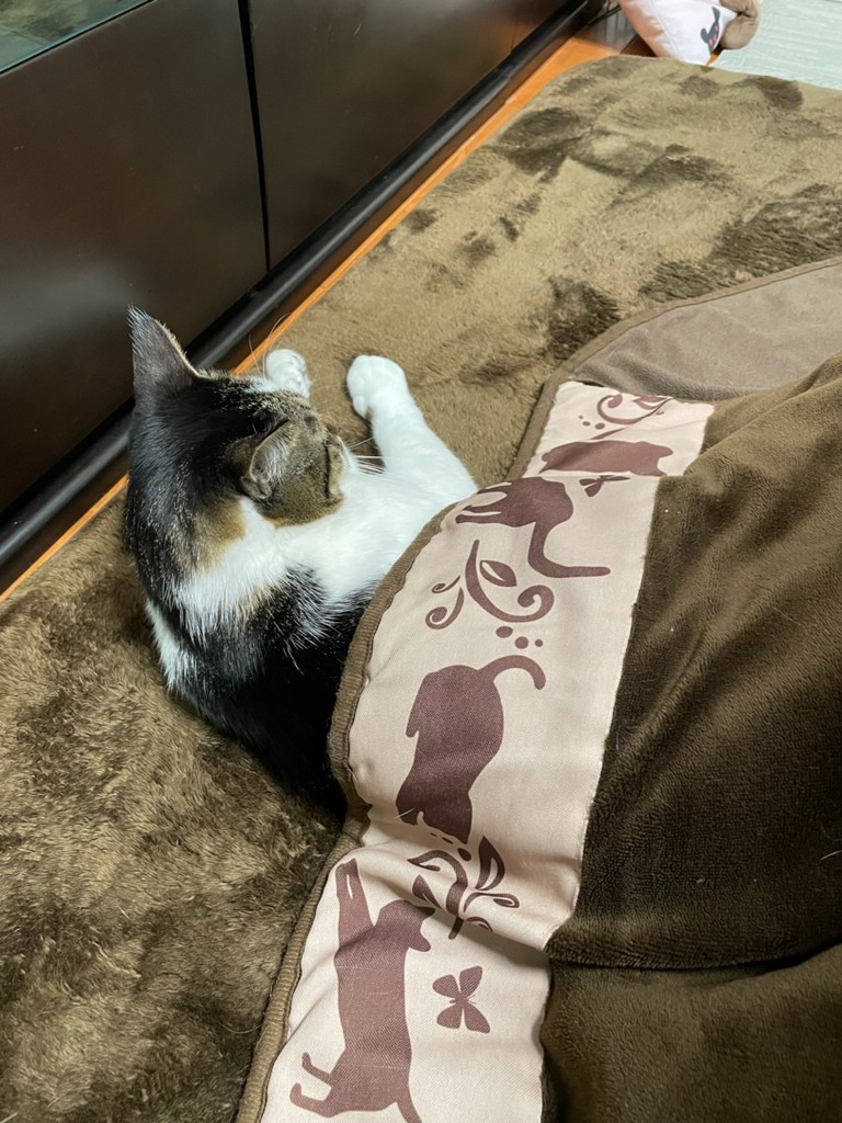 ゆう