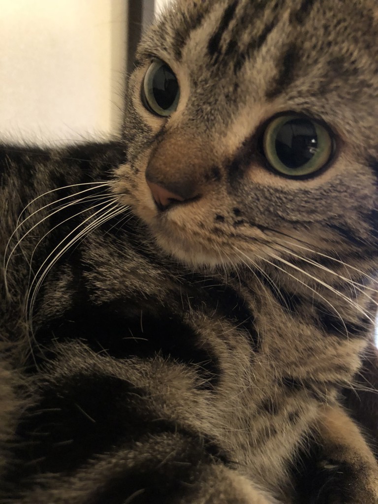 no name