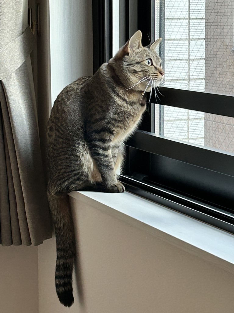 ゆか
