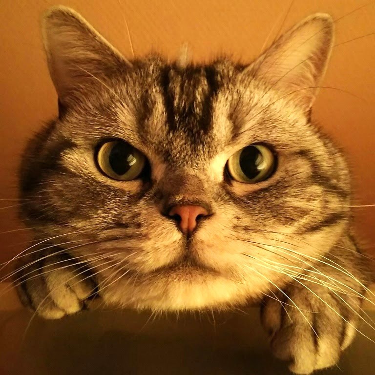 ナッツ