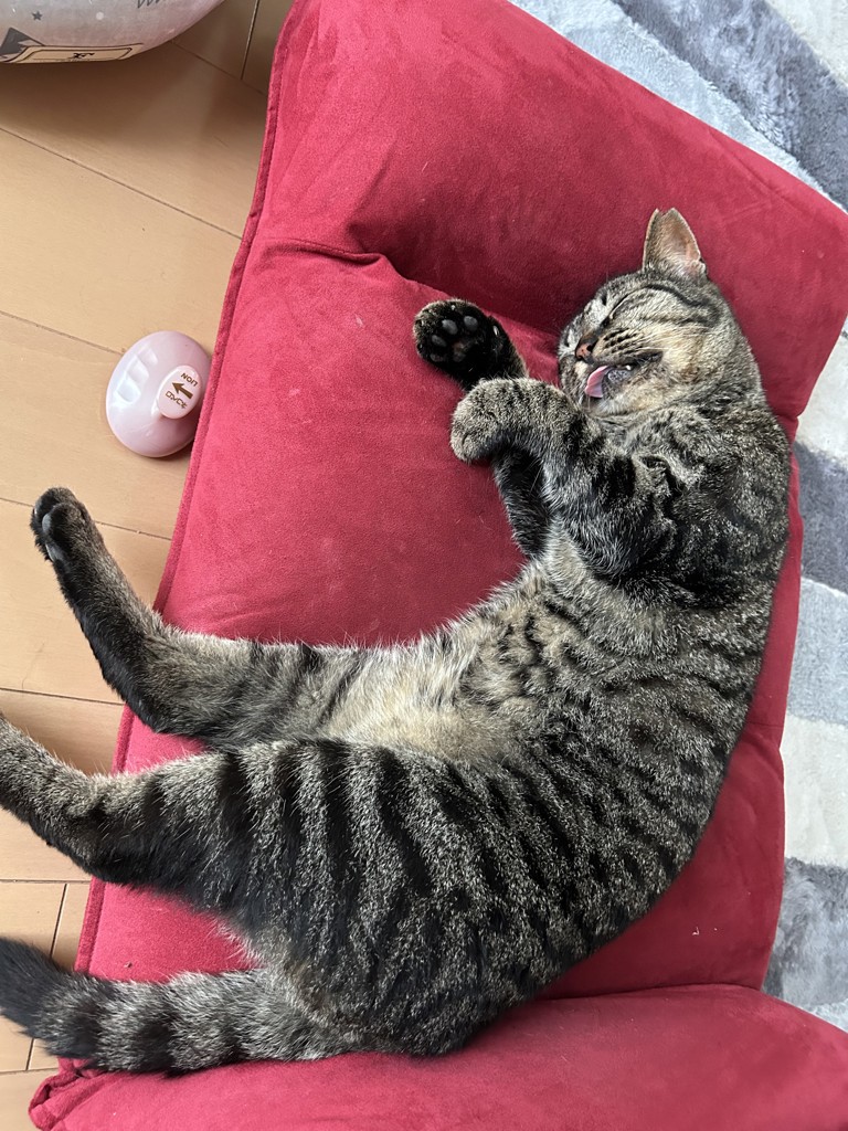ひろぴこ