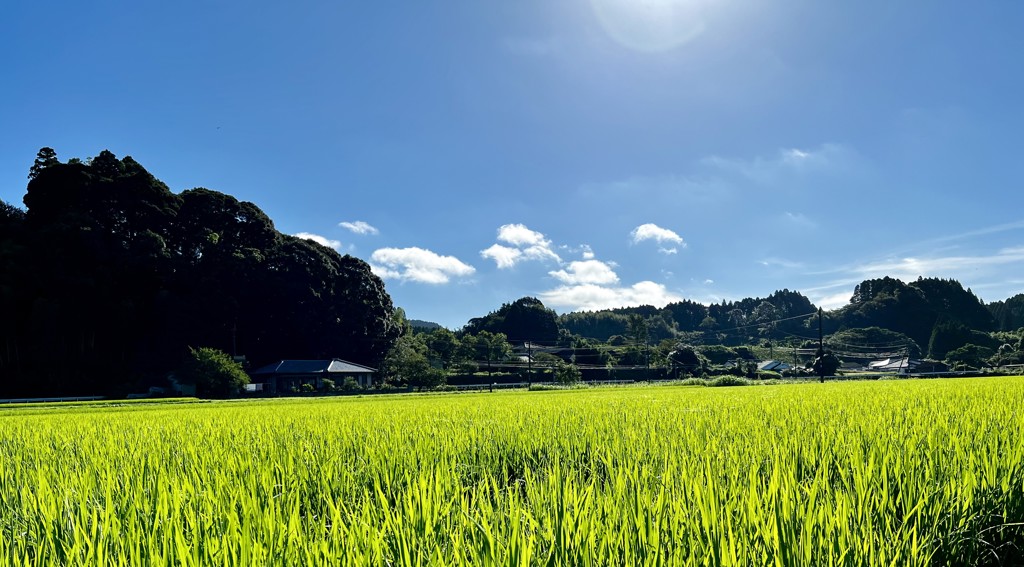 ユーザーアイコン