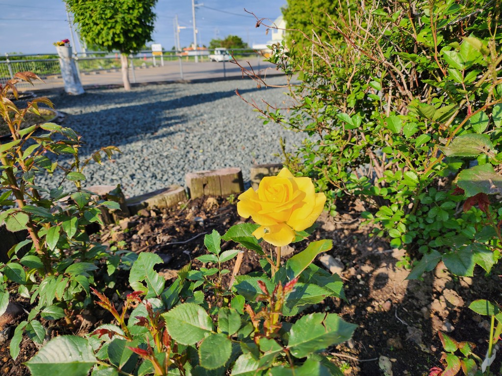 ユーザーアイコン