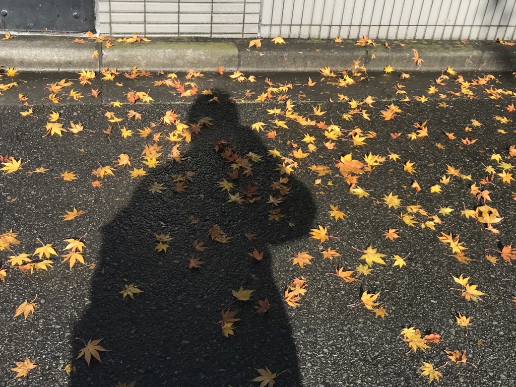ゆう