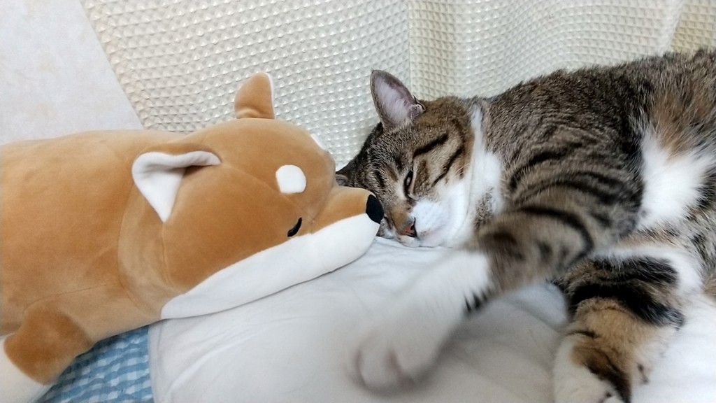 ユーザーアイコン