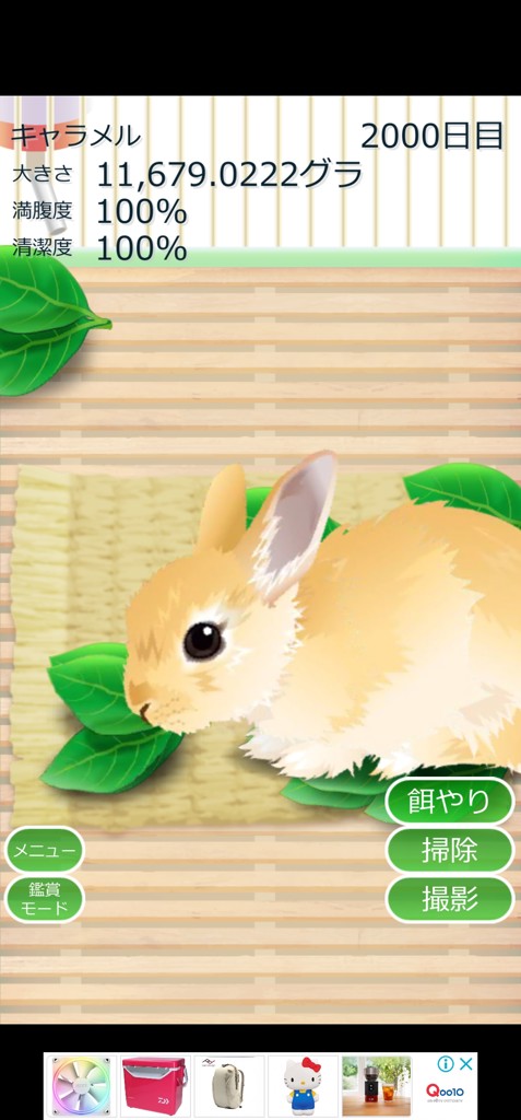 ペーパードラゴン