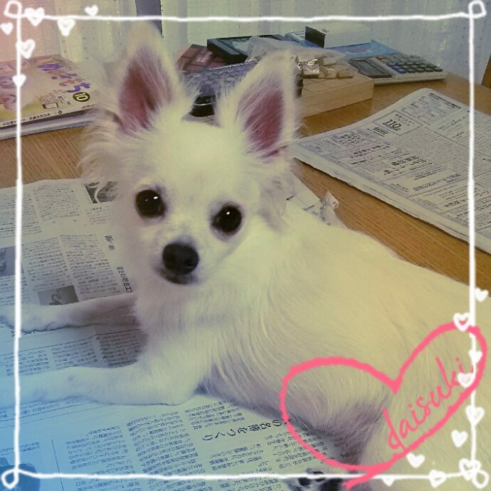 きぃ