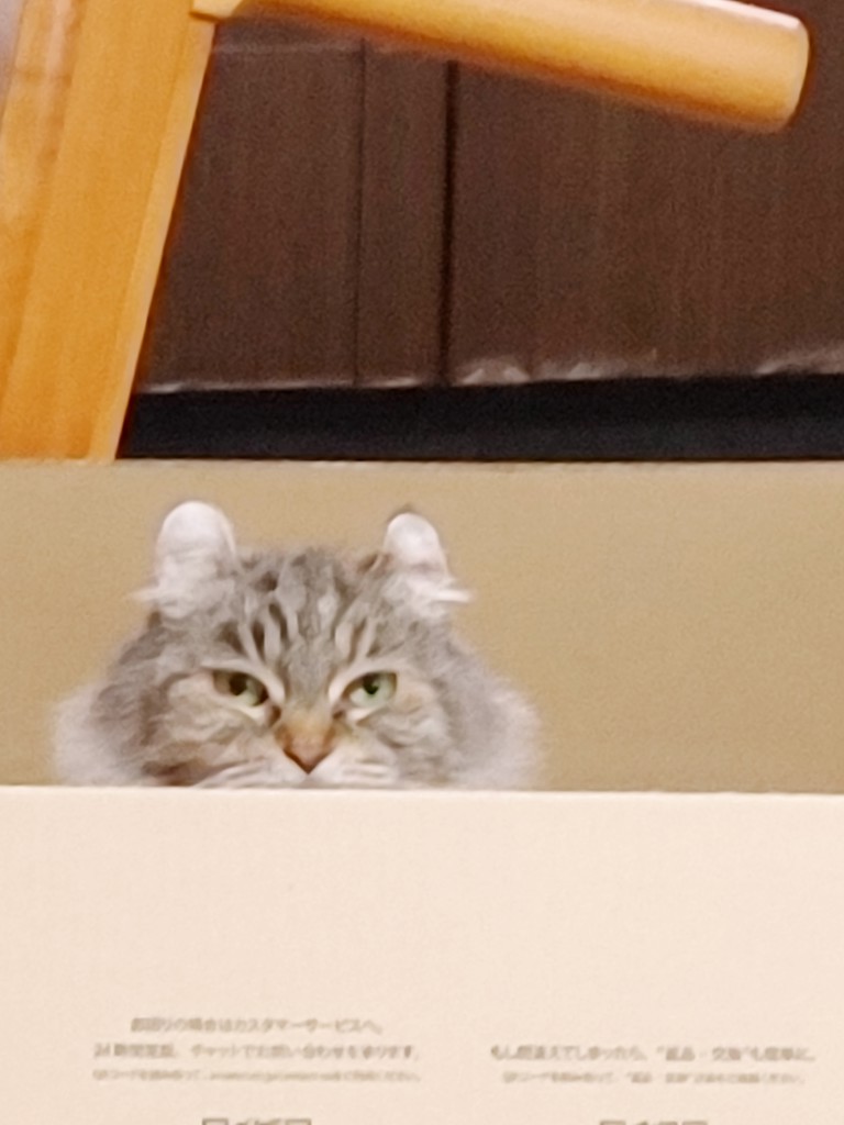 ちえぞー