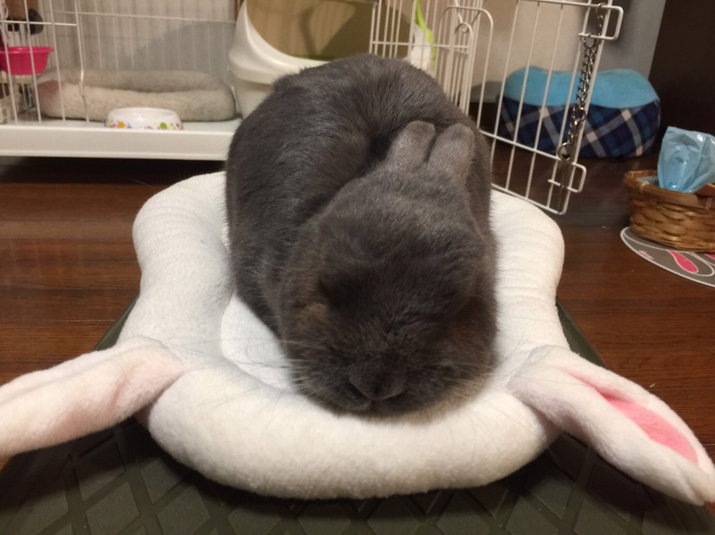 ユーザーアイコン