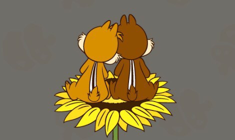 すず