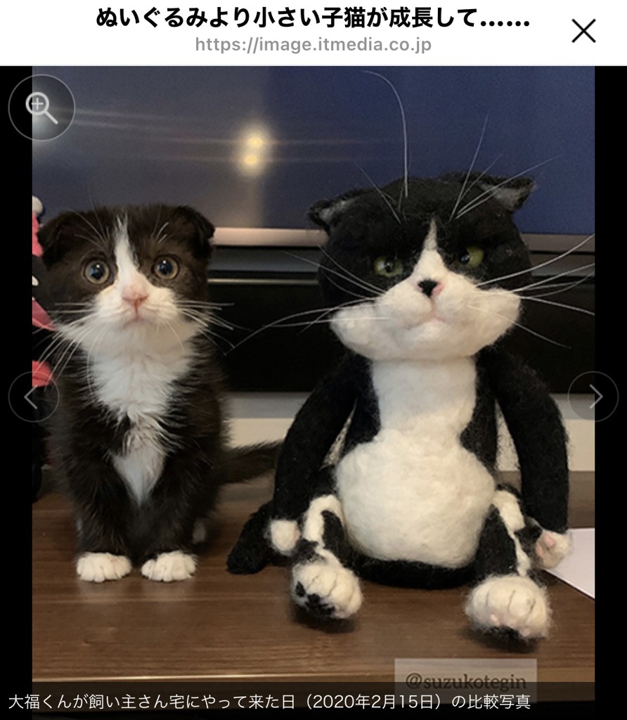 ハック