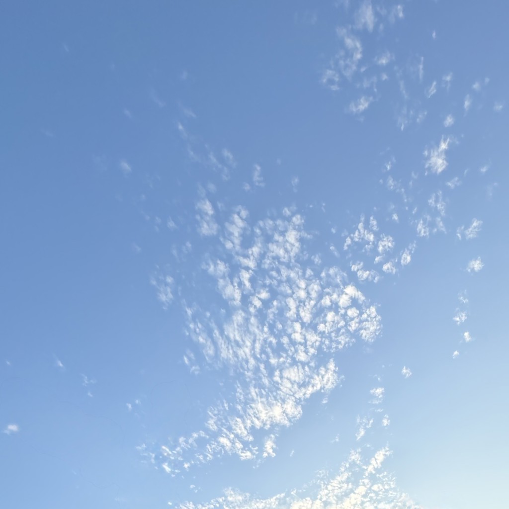 り