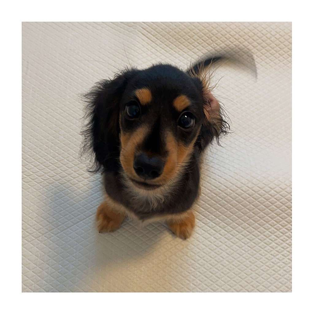 ユーザーアイコン