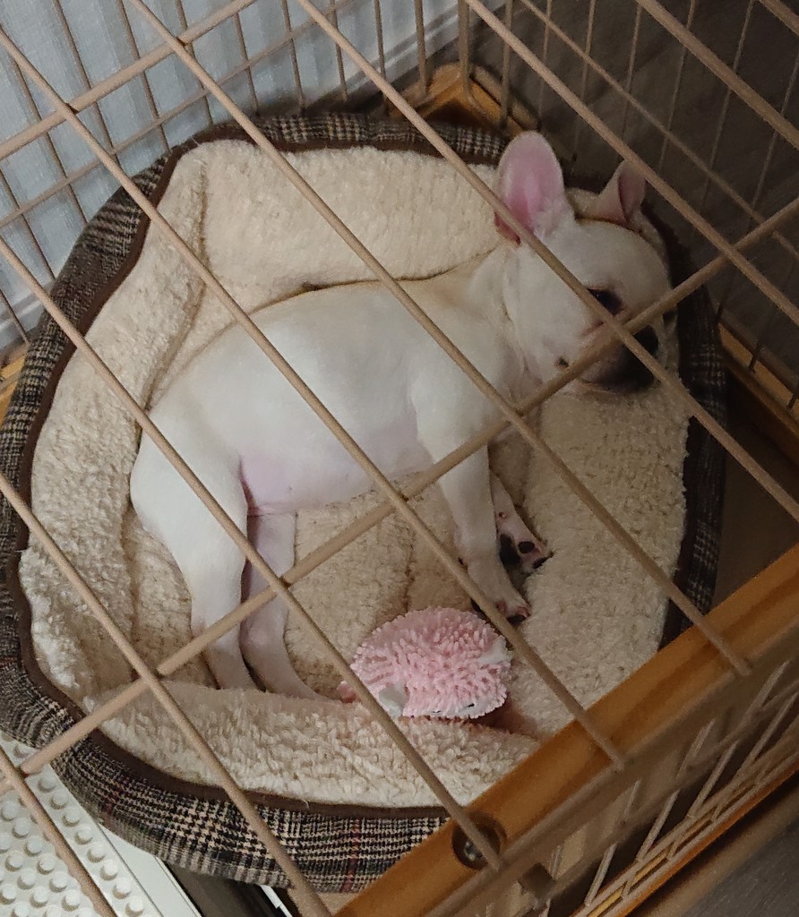 なみへい