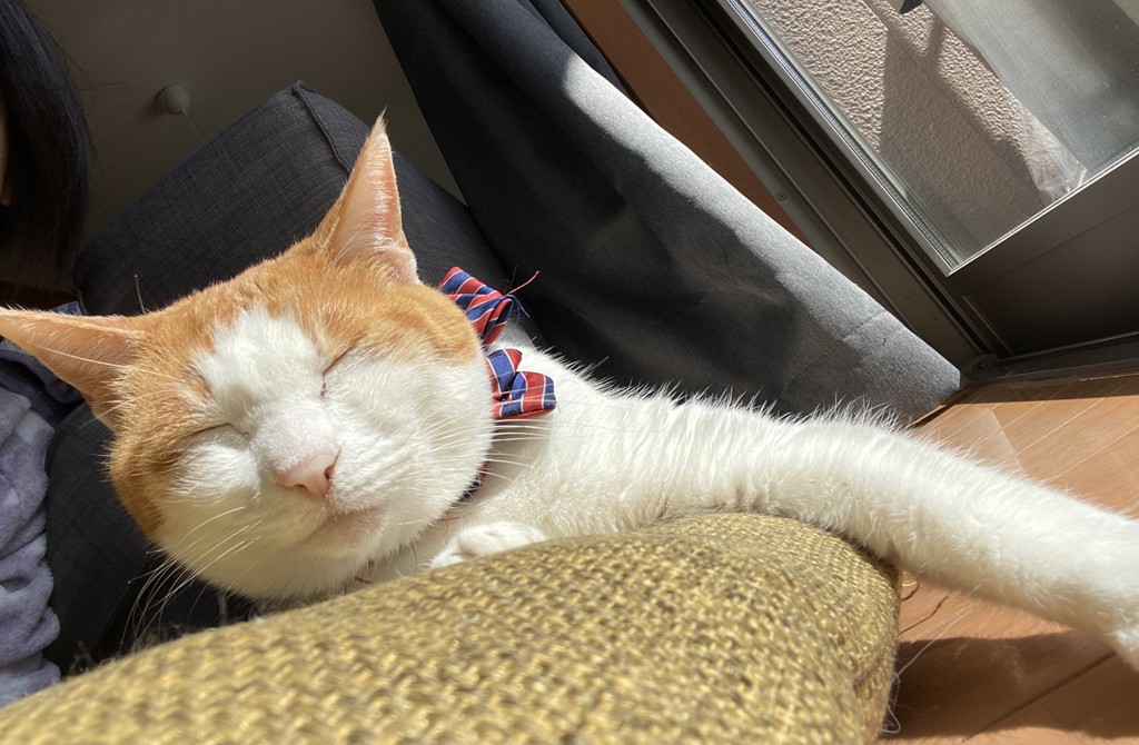 うーたん