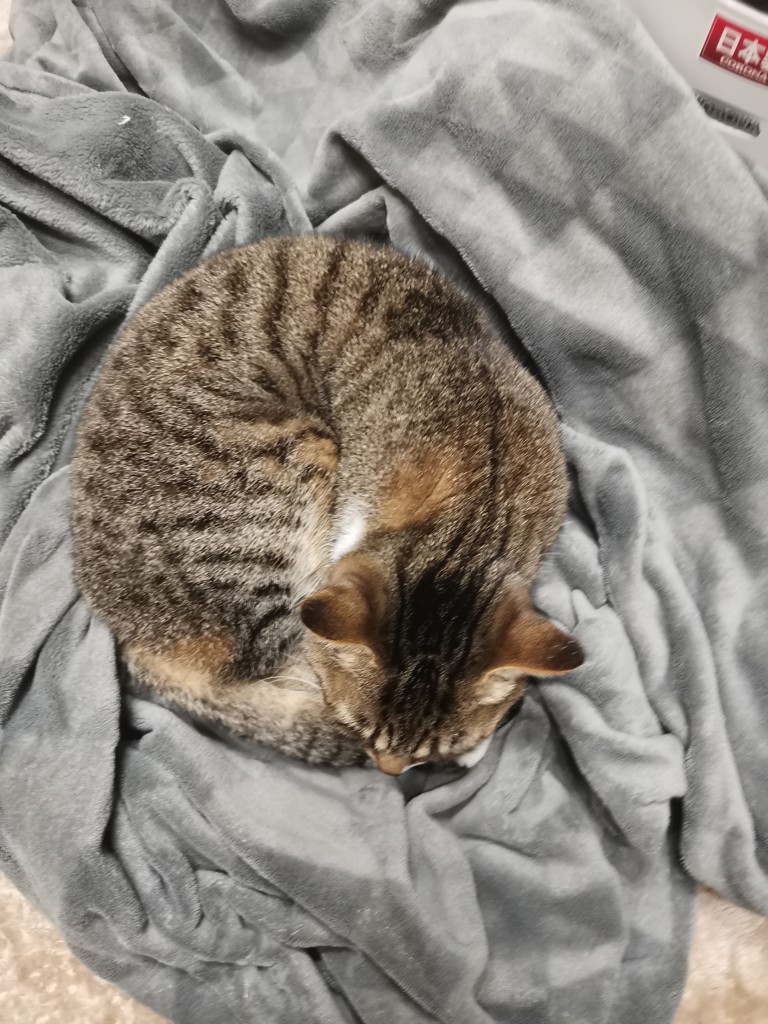 coco