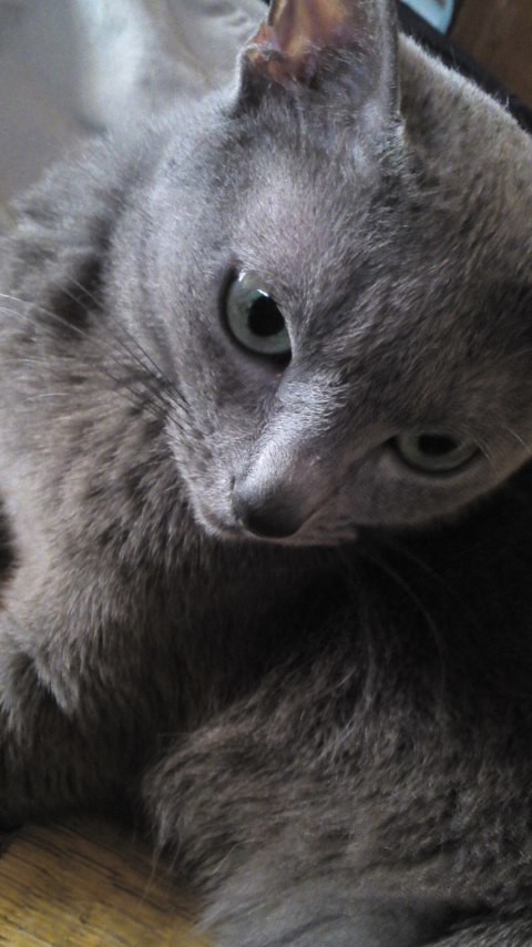no name
