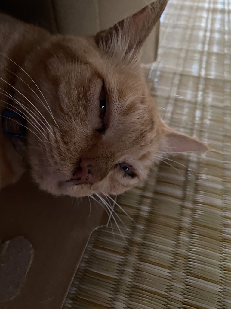 ひろみん