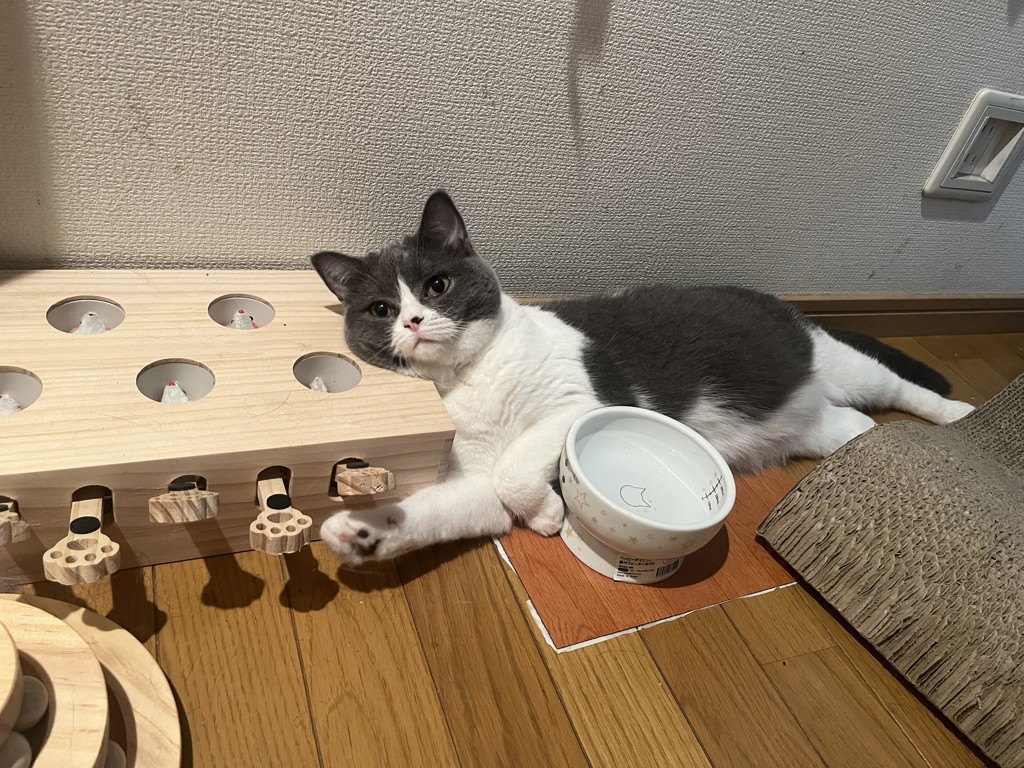 ますます