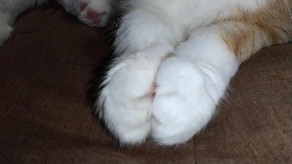 ユーザーアイコン