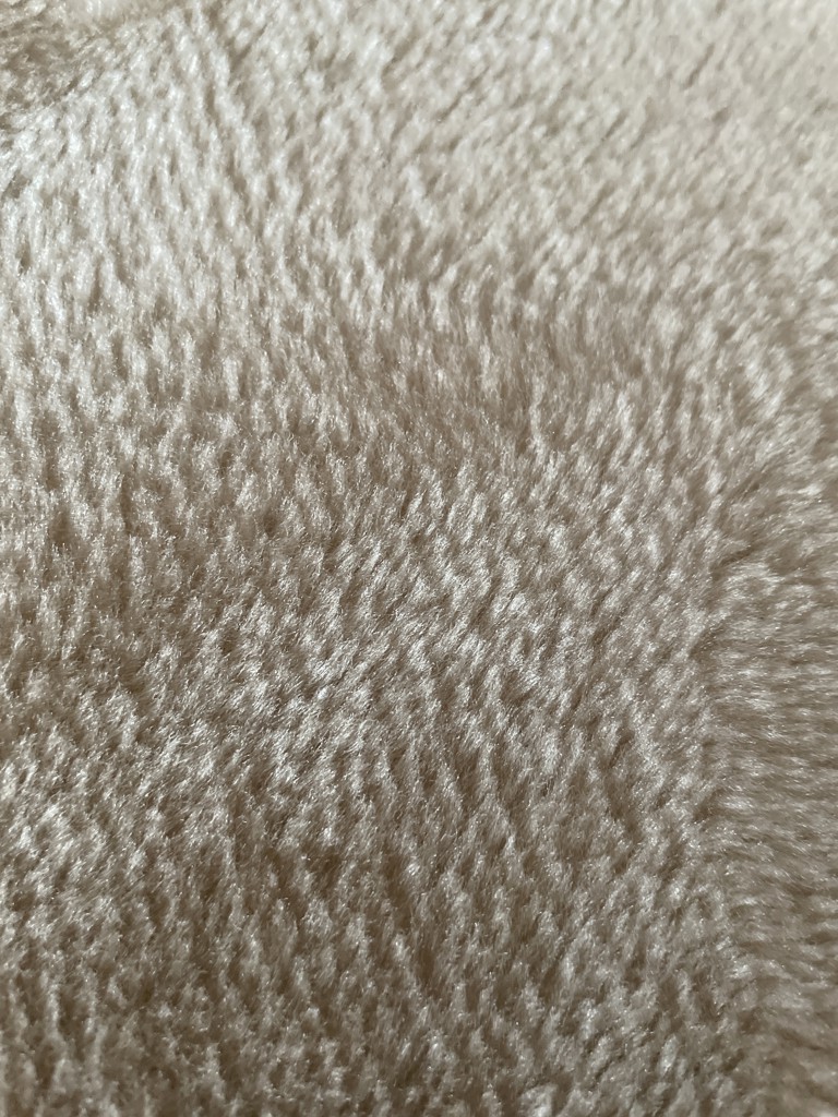 rico