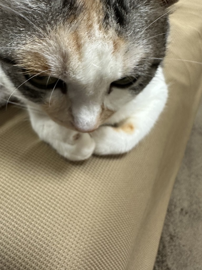 けいちゃらん