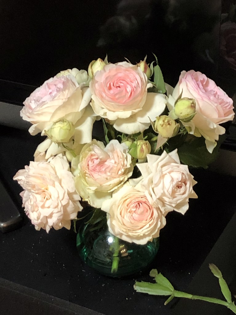 ユーザーアイコン