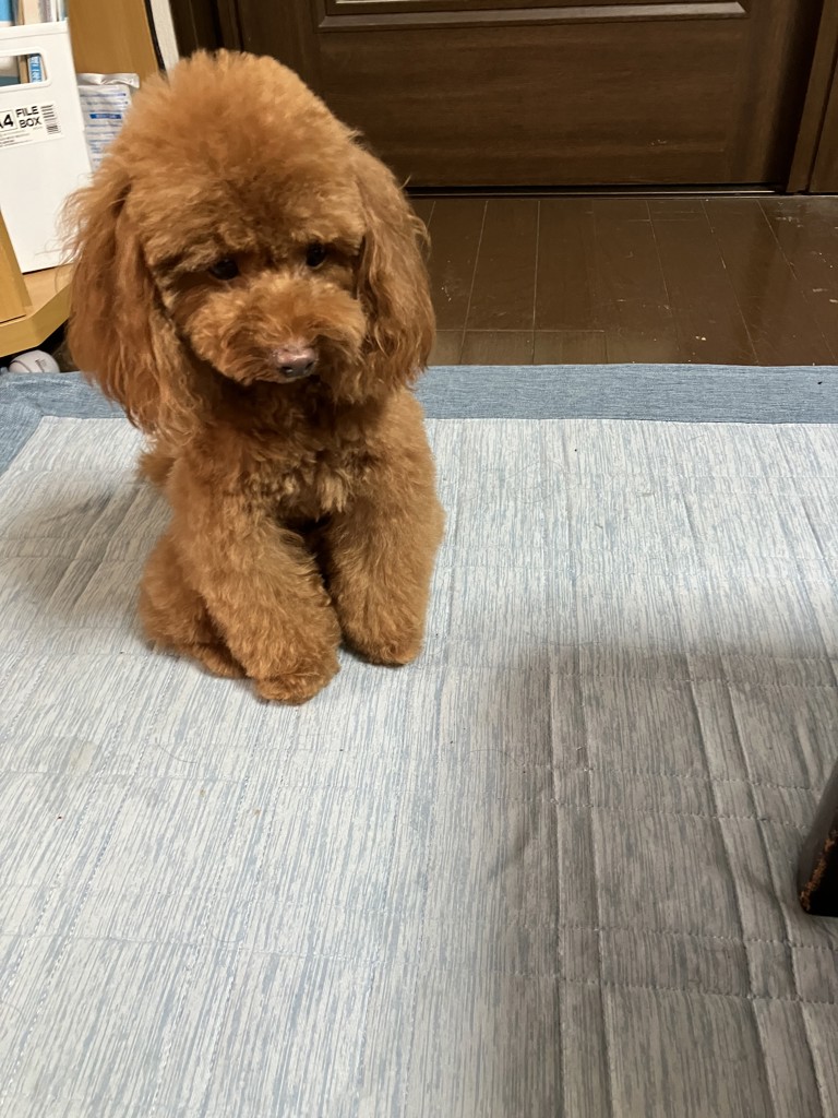 キミナミ キヨシ