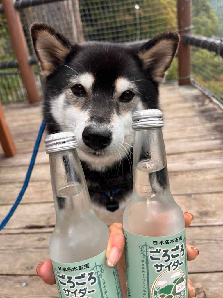 nuttypuppy