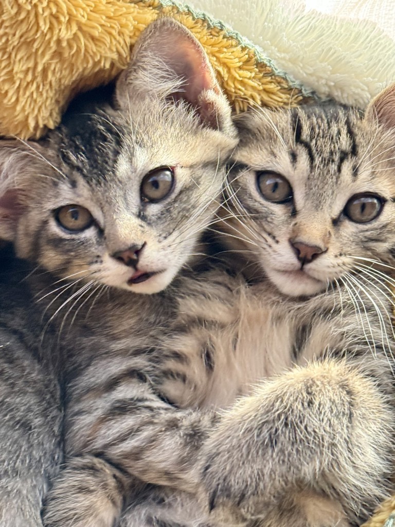 no name