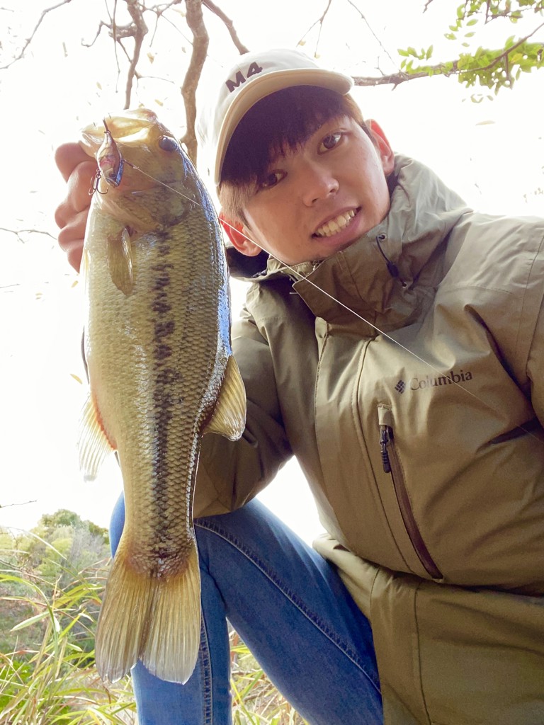 ひかる